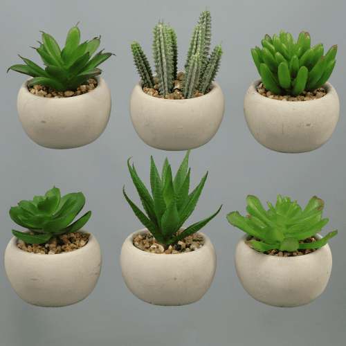 Suculenta Artificial en Maceta 8 cm, pack de 6