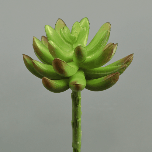 Lot de 3 mini succulentes artificielles 13 cm