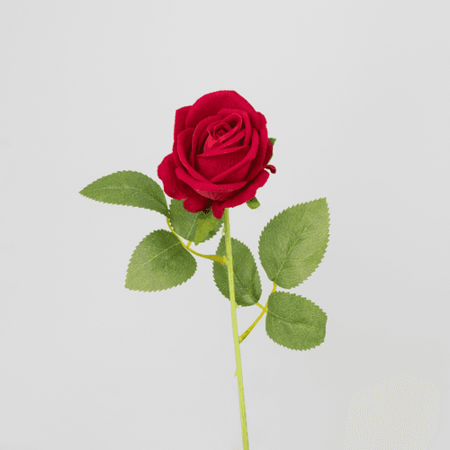 Rose Artificielle en Velours Rouge, Fleur artificielle de 55-60 cm de long, lot de 12 unités