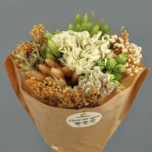 Ramo de Flores Secas Rouse Verde Pistache, Flor seca de 40 cm de comprimento