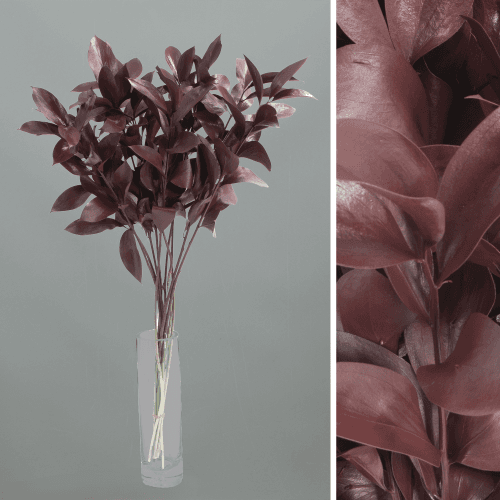 Ruscus pintado bordô, Folhagem de 60 cm de comprimento, em molho