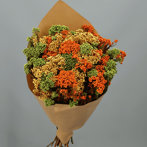 Fleur de riz préservée Jaune et Orange