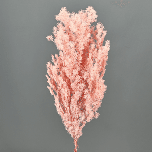 Miroclaudio Preservado Rosa Claro