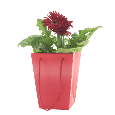 Bossa Floral Noor Vermell, 20 cm (10 u.)