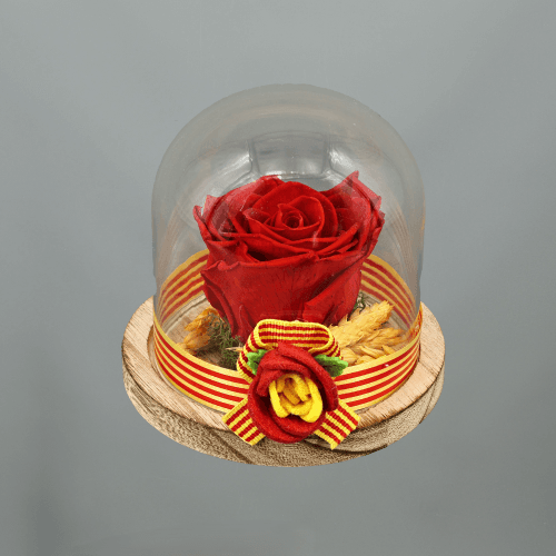 Y Cúpula Rosa Sant Jordi