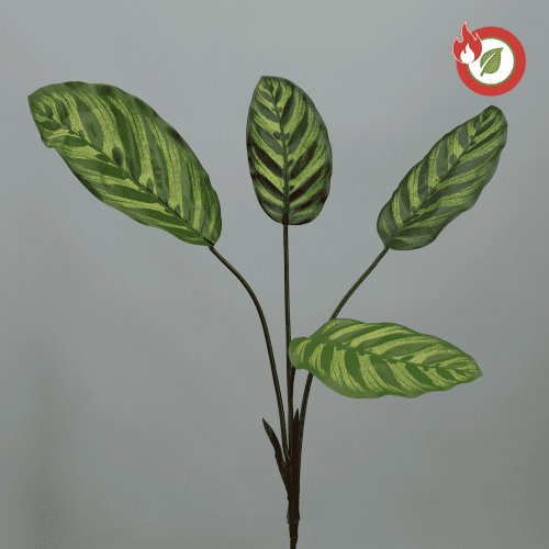 Calathea Artificial Ignífuga