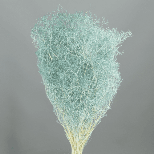 Gipsófila Preservada Azul Celeste, Flor preservada de 40-50 cm de longo