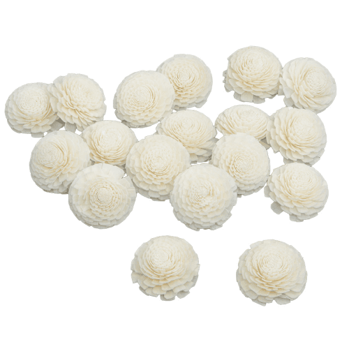 Flor Shola Crisantemo, Blanco, 18 tallos