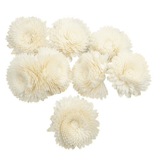 Flor Shola Crisantemo, Blanco, 18 tallos