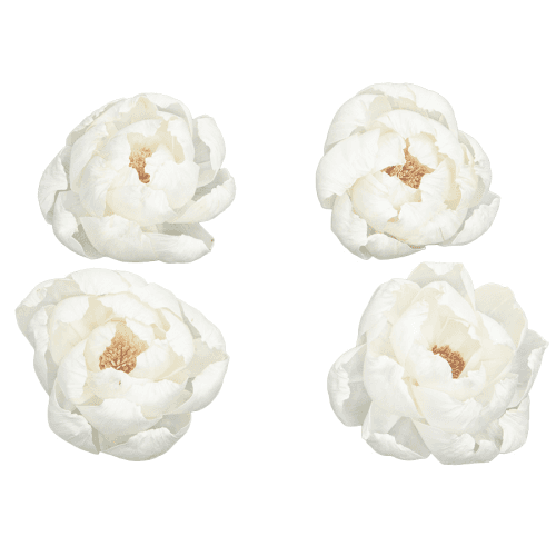 Fleur de Shola Pivoine Séchée, Fleur séchée de 10-13 cm de long