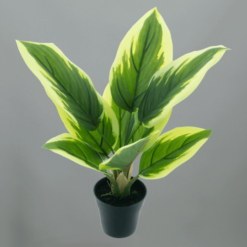 Dieffenbachia Artificielle Feuilles Panachées