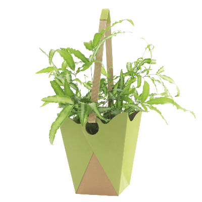 Bolsa Kraftique Verde Pistacho