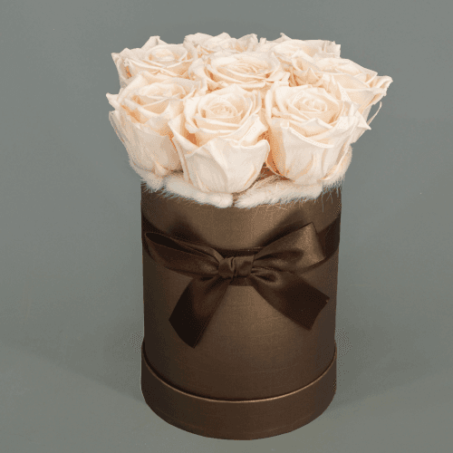 Centro floral seco Leonore creme e rosa, Flor seca de 24 cm de comprimento, conjunto de 2 hastes