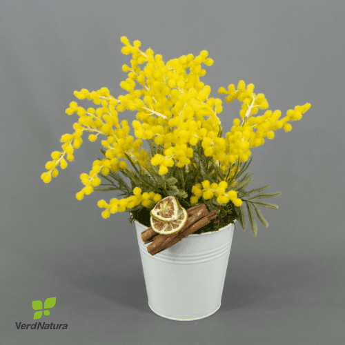 Y Detalle Mimosa Premium