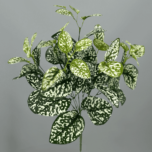 Lot de 4 Hypoestes (plante aux éphélides) artificiels 43 cm