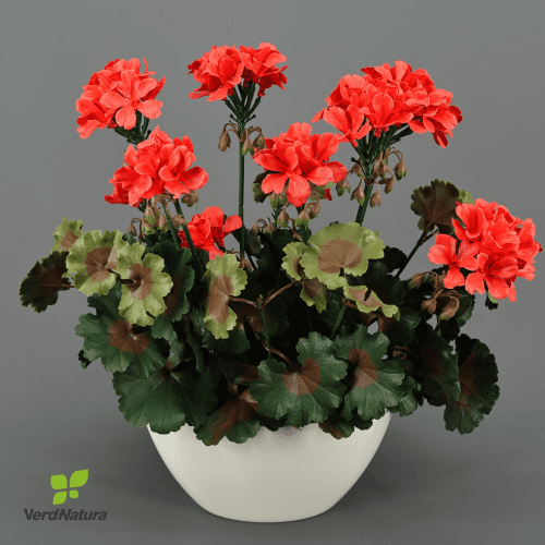 Géranium rouge artificiel en pot UV 30 cm