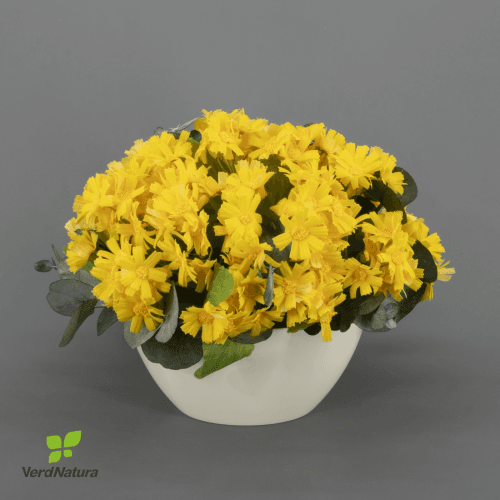 Pot de 30 cm de marguerites artificielles et eucalyptus stabilisé