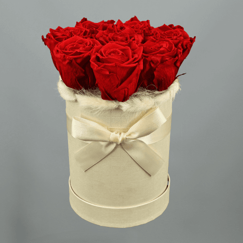 Centro floral seco Leonore vermelho e branco, Flor seca de 24 cm de comprimento, conjunto de 2 hastes