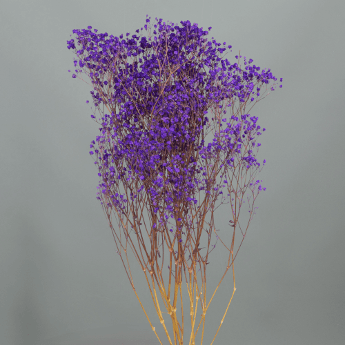 Ramo de Paniculata Preservada Roxa, Flor preservada de 60 cm de comprimento