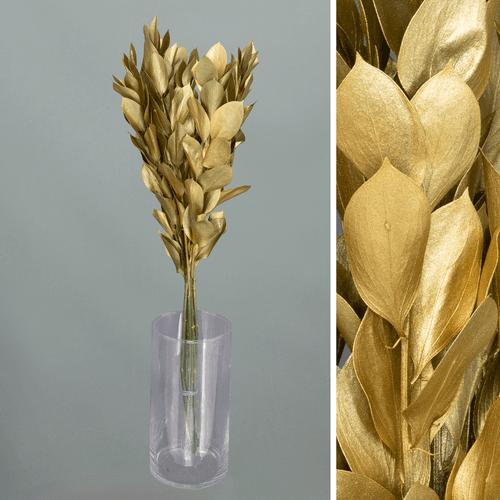 Ruscus pintado dourado