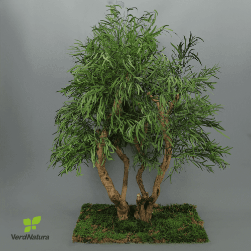 Arbusto Nicoly preservado, Flor preservada de 90 cm de comprimento