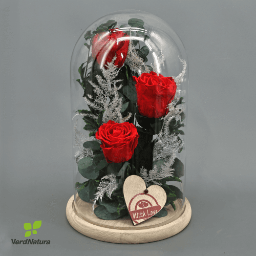 Cúpula floral com três rosas vermelhas Rojo, 30 cm