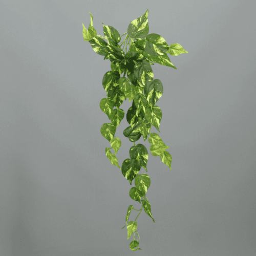 Lot de 2 pothos artificiels suspendus 66 cm