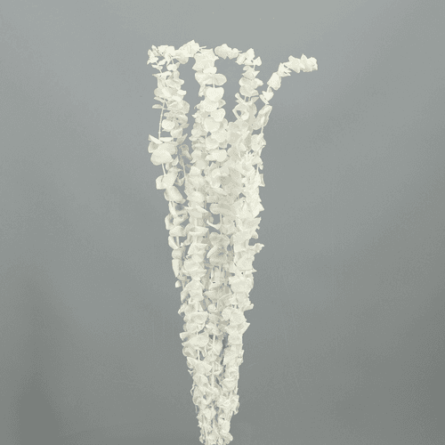 Eucalipto Baby Blue preservado blanco, Flor preservada de 70 cm de largo