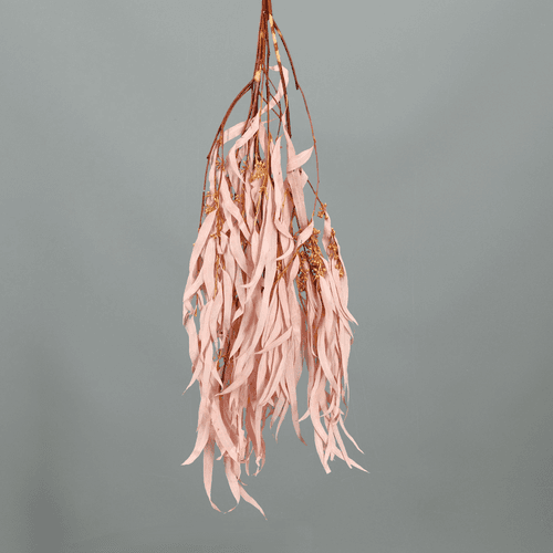 Eucalipto Exotica Preservado Rosa Claro, Flor preservada de 70 cm de largo