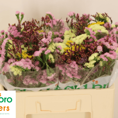 Bouquet Floral
