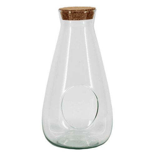 Lot de 6 terrariums en verre avec bouchon en liège 12 cm, Plante de 22 cm de haut, lot de 6 unités FLORAN