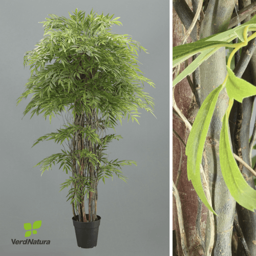 X Árbol Sauce Verdnatura, Verde