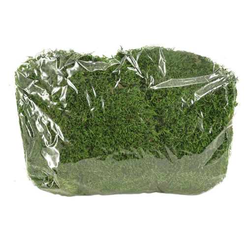 Musgo Verde 500 g, Verde