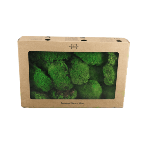 Musgo Bola 200 gr, Verde