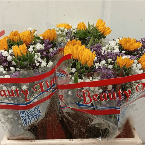 Ram de Gira-sol i Limonium, 37 cm de tija