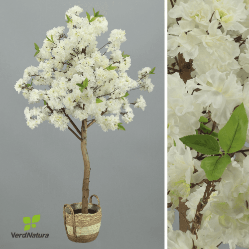 X Árbol Cerezo Verdnatura, Blanco
