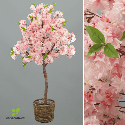 X Árbol Cerezo Verdnatura, Rosa