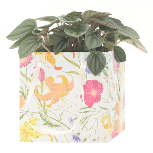 Bolsa Senna Branca