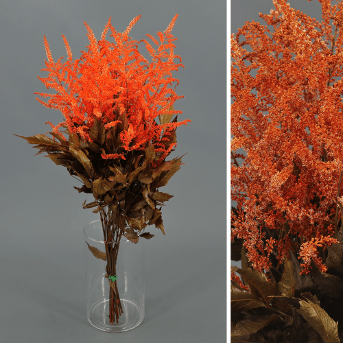 Astilbe Preservada Naranja