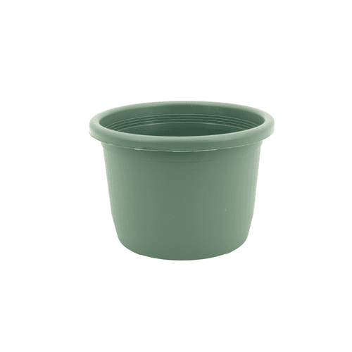 Tarrina Alta Verde, 11-14 cm (10-12 unids)