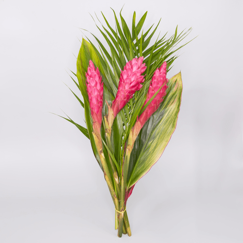 Ramo Tropical de Ginger Rosa y Hoja de Areca 50 cm, Flor fresca de 50 cm de largo