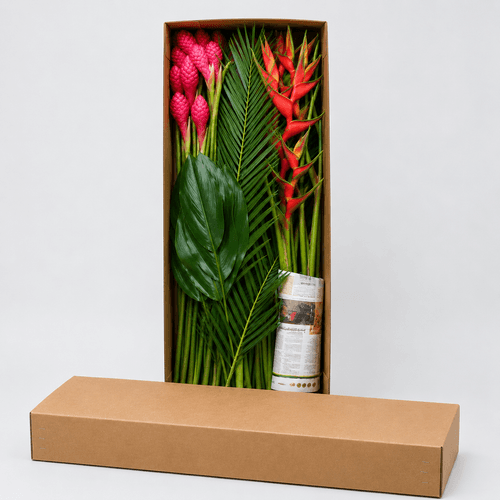 Surtido de Flor Tropical Combo Fantasy, 100 cm, Flor fresca de 100 cm de largo, ramo de 75 tallos