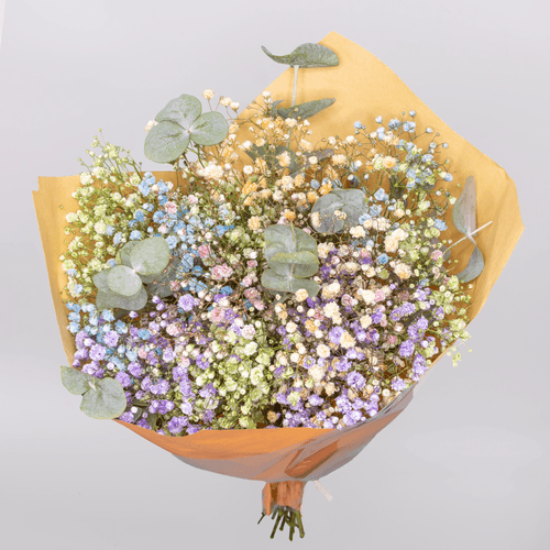 Ramo de eucalipto e paniculata, Flor fresca de 40 cm de comprimento, 2 hastes