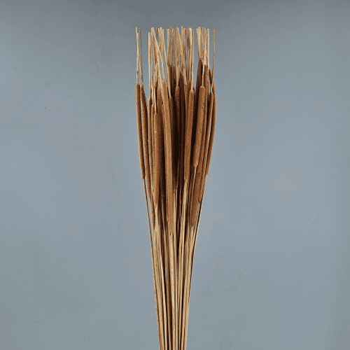 Junco Typha, Natural, 80cm