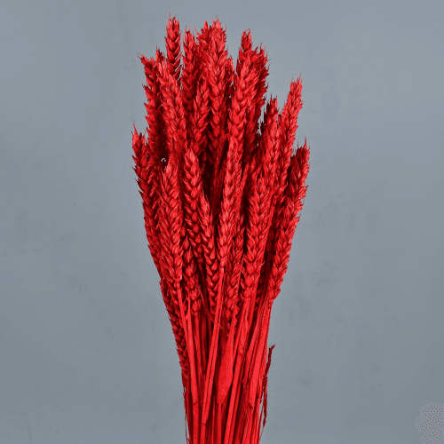 Trigo Rojo 200 gr, Rojo, 80cm