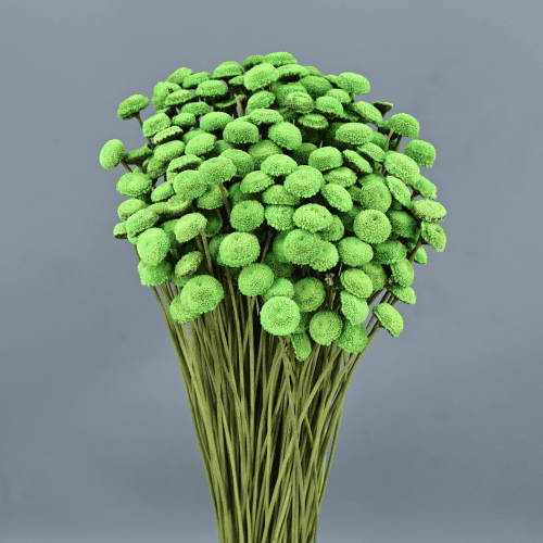 Botao Verde Pistacho, Verde Pistacho, 45cm