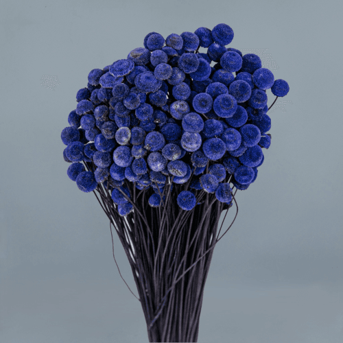 Botao Morado, Morado, 45cm