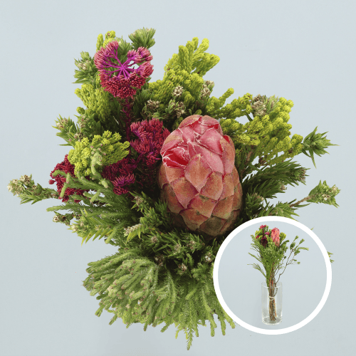 Bouquet Hybrid Single Protea Paquete, Mixto, 40cm