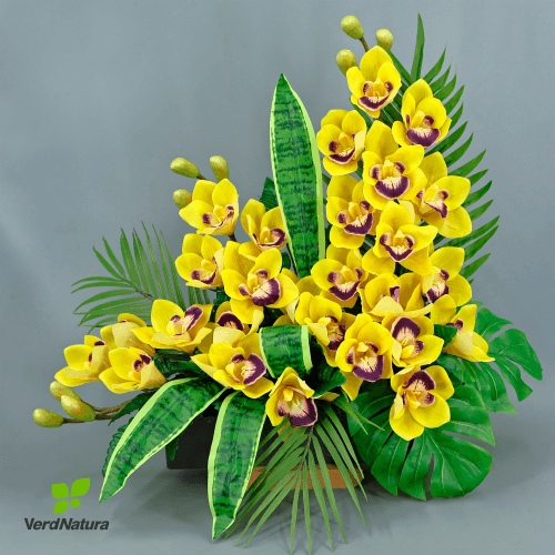 Y Jardinera  Cymbidium, Amarillo, 1 tallos, 60cm