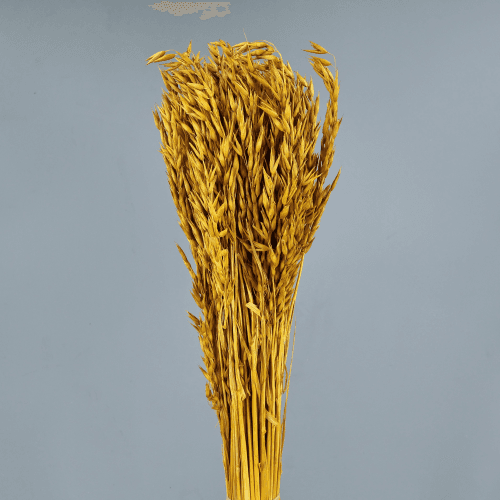 Avena Sativa 200 g